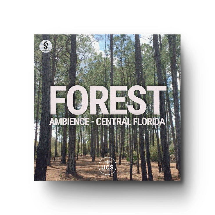 Forest Ambience 1: Central Florida